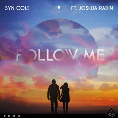 Syn Cole ft. Joshua Radin - Follow Me (VIP Mix)