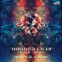 Hasche - Requiem to a Dream (Variation Version)