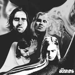 The Wands - Faces