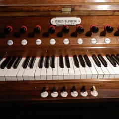 J S Bach Inventio a BWV784 (mp3)