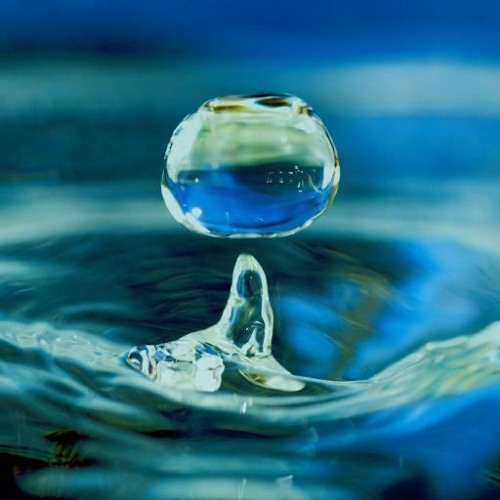 Component Elements Of Consciousness