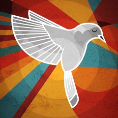 What I heard on Wefunk