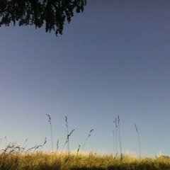 On A Good Day (J. Newsom cover)