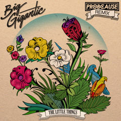 Big Gigantic - Little Things (ProbCause Remix)