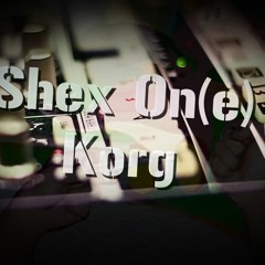 on Korg (165 Bpm Anti Pussy Techno Geschredder)