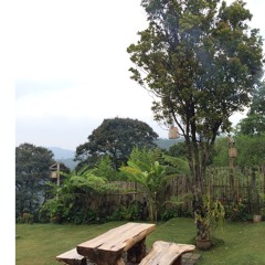 Ruang Sendiri - Tulus (cover)