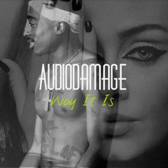AudioDamage - Way It Is