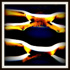 Night of the Long Knives