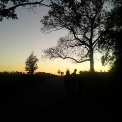 Home 209 [prod. STRKLR]