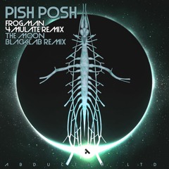 Pish Posh - The Moon (Blacklab RMX ) [OUT NOW]