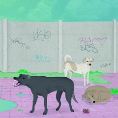 04. Medio Hermano - Lugares Comunes