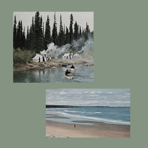 sophie meiers - picture book