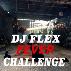 Dj Flex ~ Fever (TWERK CHALLENGE)