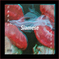 Siamese (ft. $pacely) MASTERED VERSION