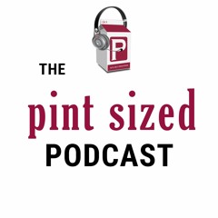 How to choose a WordPress theme - Episode 2-05