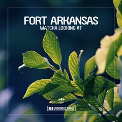 Fort Arkansas - Watcha Looking At