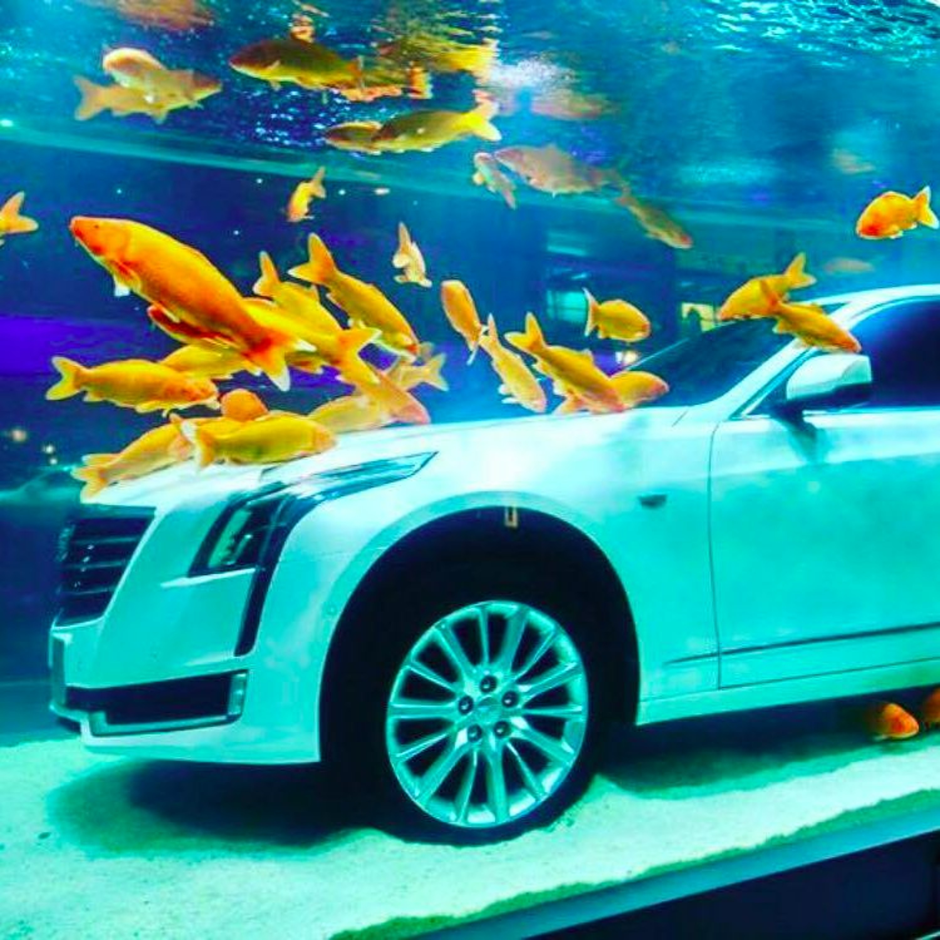 UNDERWATER CITIES 2027 episode artwork