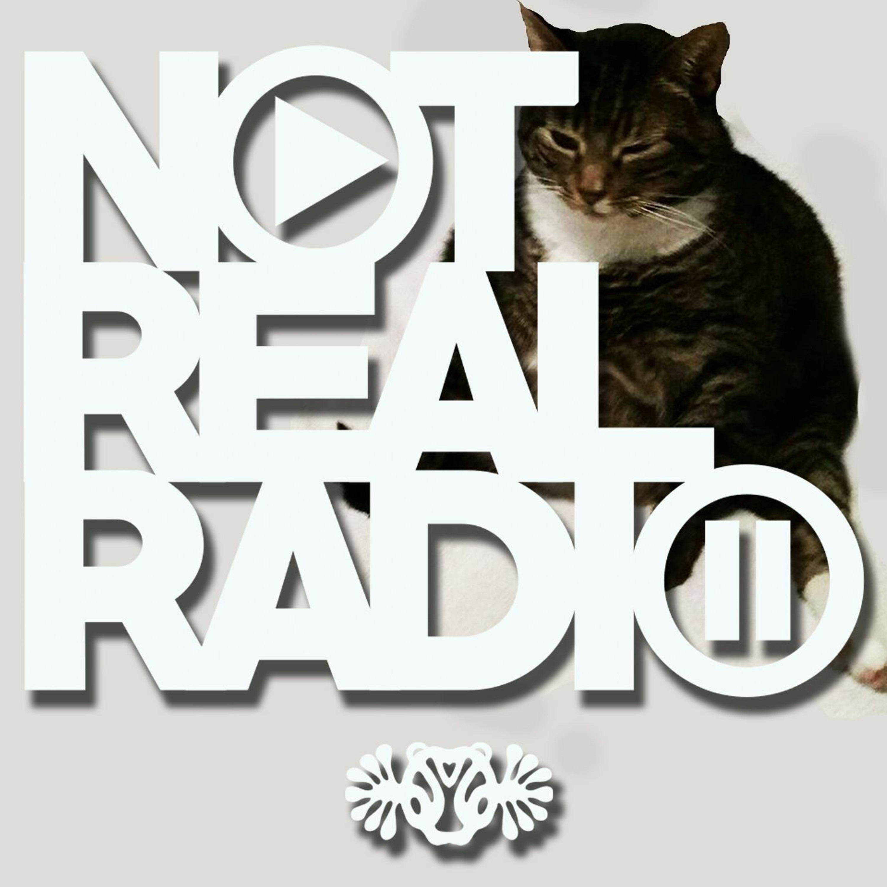 Not Real Radio