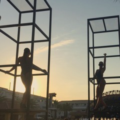 Made In Ibiza.  House&Electro House DJ Set. WAV.