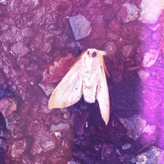 Boy On Guitar - "Blue Face"