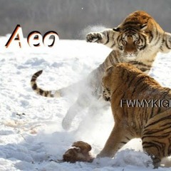 Aeo - FWMYKIGI
