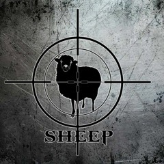 Sheep -late nite prod by hefe2dope