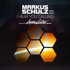 Markus Schulz featuring CAYO - I Hear You Calling (Aerolite Bootleg) (Radio Mix)