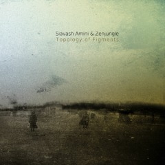 Descending Days - Siavash Amini & Zenjungle from Topology of Figments out Sept 23