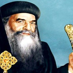 فى كواكب الفردوس