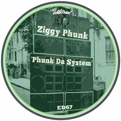 Ziggy Phunk - Feels So Good (Snippet)  [EDITORIAL] *OUT NOW*