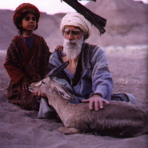 Song of the Red Dervish