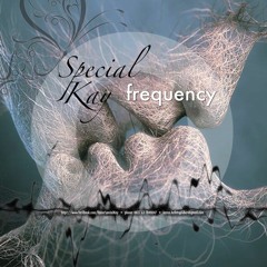 Frequency - Special Kay 2016.MP3