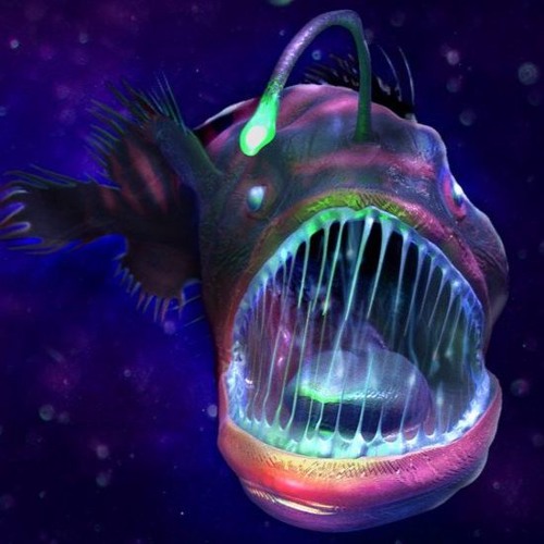 Rules of the Deep