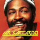 on Marvin Gaye - Sexual Healing (Mr Saccardo Re - Edit)