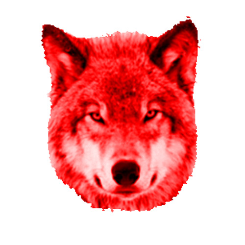 бегущая с волками. красный волк gif. раскраска волк. красный волк мультяшный. волк рисунок.