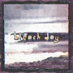 Bleach Day — Losing Track Of Time