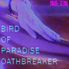 PREMIERE : Bird Of Paradise - Burmantofts (Heretic Remix)
