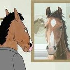 The pony perception