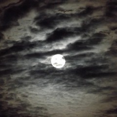 the message-Delta Kong