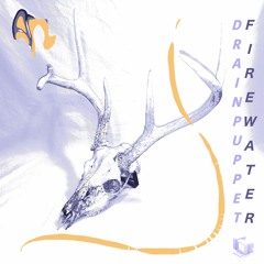Drainpuppet - Pseudogenetic