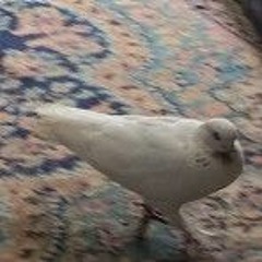 LOve Don't Mean A Thing