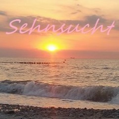 Sehnsucht - Elec Mental