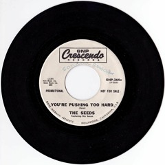 MATCHES - "Pushin' Too Hard" {Seeds cover - ELM MIX) orig. tune is from 1965
