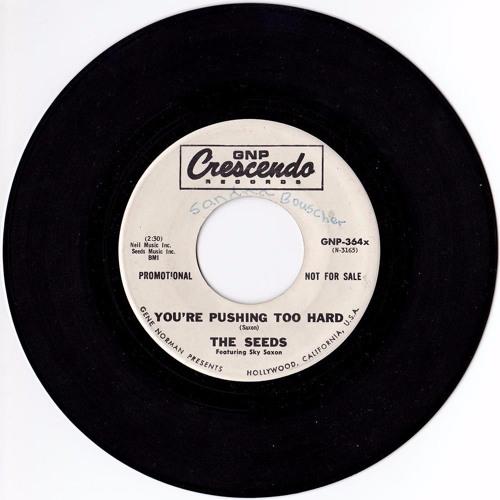 MATCHES - "Pushin' Too Hard" {Seeds cover - ELM MIX) orig. tune is from 1965