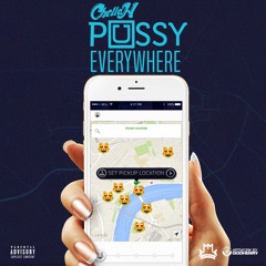 PUSSY EVERYWHERE  (UBER EVERYWHERE)REMIX