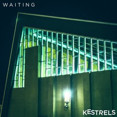 Kestrels - Waiting