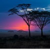 Serengeti Prod Melody Ft King Real The Livest One Mp3