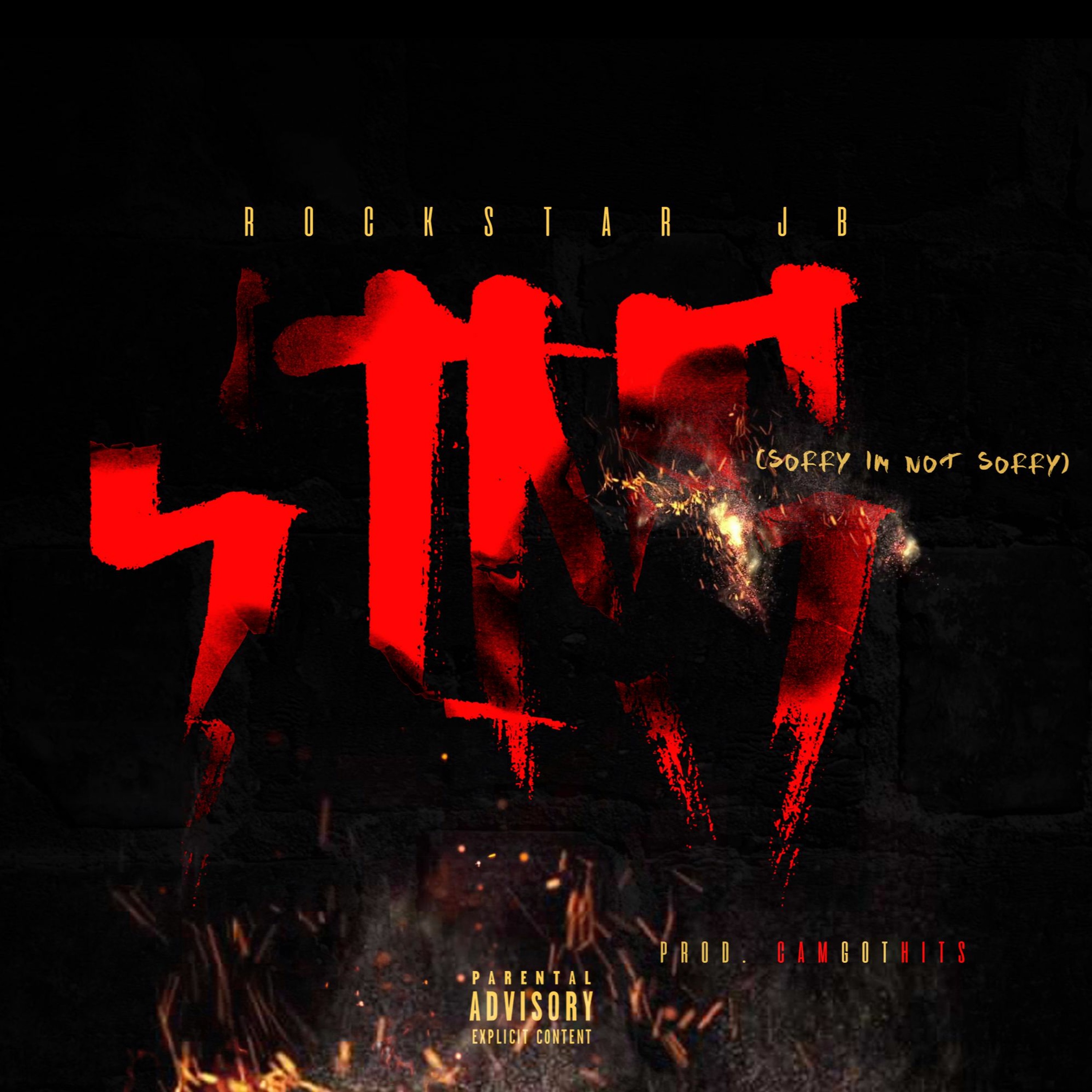Sorry I'm Not Sorry (S.I.N.S)(Prod. CamGotHits) episode artwork