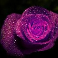 Purple Rain (Acoustic) x Jas