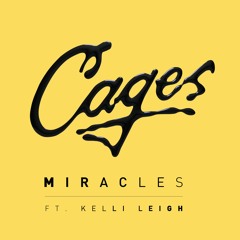Miracles (ft. Kelli-Leigh)